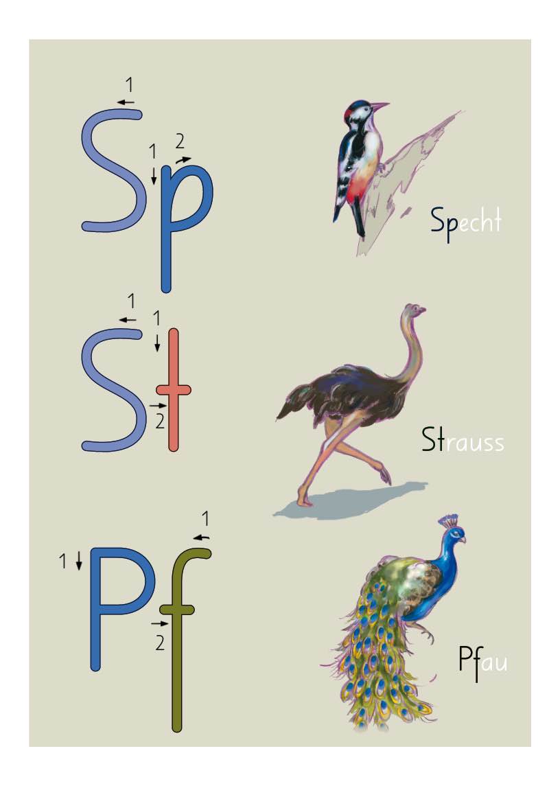 Produkt ABC-Buchstabenkette, ein Lehrmittel für Buchstaben, Übersicht Sp, St, Pf