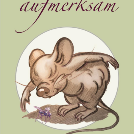 Produkt Gefühlsgalerie, ein Lehrmittel für Buchstaben, Übersicht aufmerksam