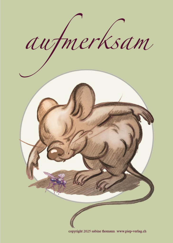 Produkt Gefühlsgalerie, ein Lehrmittel für Buchstaben, Übersicht aufmerksam