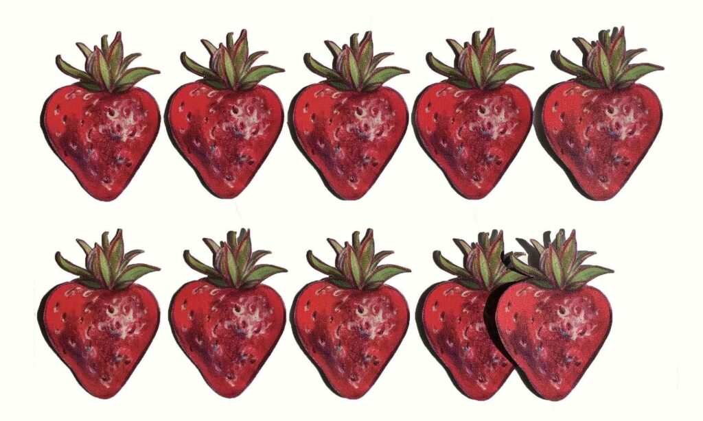 Produkt Riesenerdbeeren, ein Lehrmittel für Buchstaben, Übersicht