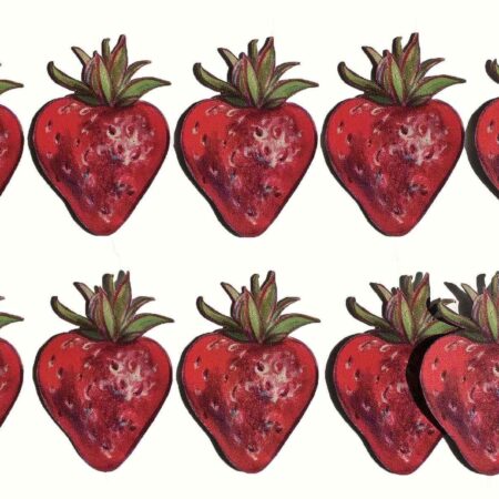 Produkt Riesenerdbeeren, ein Lehrmittel für Buchstaben, Übersicht