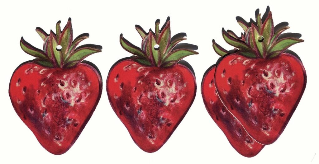 Produkt Riesenerdbeeren, ein Lehrmittel für Buchstaben, Übersicht