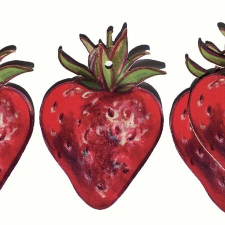Produkt Riesenerdbeeren, ein Lehrmittel für Buchstaben, Übersicht