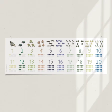 Produkt Zahlenband, ein Lehrmittel für Zahlen