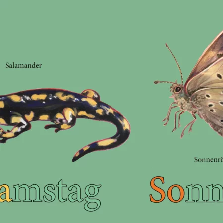 Wochenplaner – Bild 3