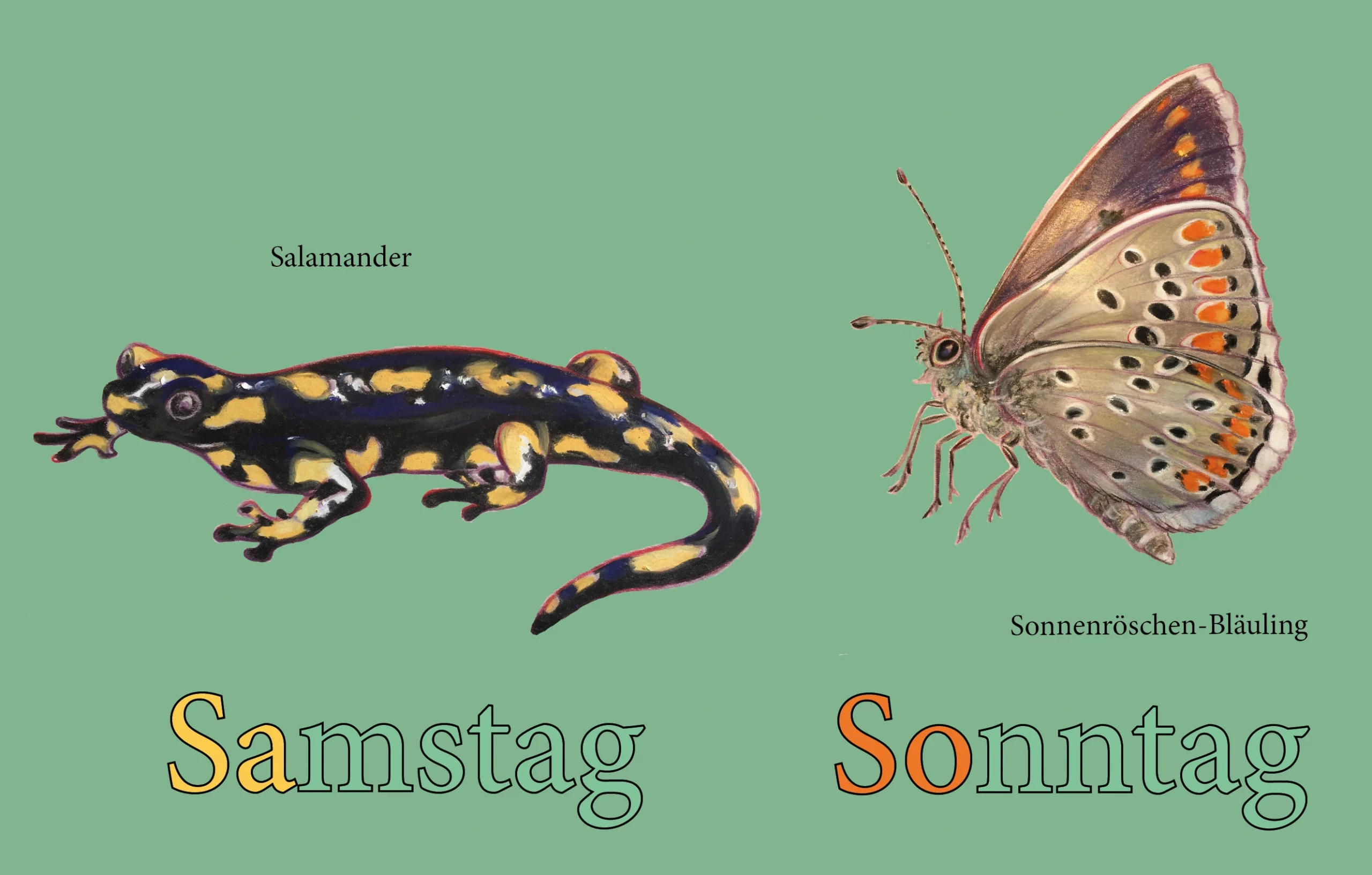 Wochenplaner – Bild 3